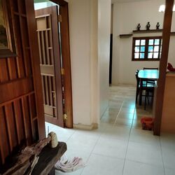 Lorong H Telok Kurau (D15), Terrace #498479281